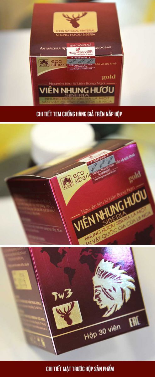 Viên nhung hươu Sibiri Liên Bang Nga-Y011-ảnh5