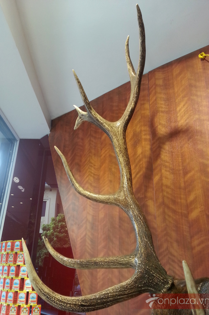 Đầu hươu nguyên chiếc treo tường NH017 a7