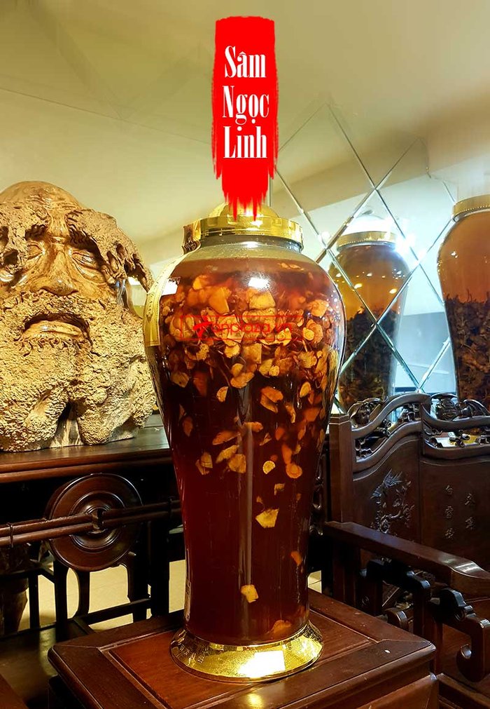 Sâm Ngọc Linh thái lát ngâm mật ong bình 17 lít NS418 1