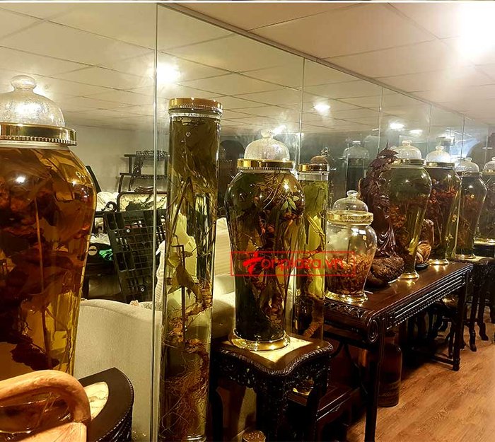 Sâm Ngọc Linh thái lát ngâm mật ong bình 17 lít NS418 7