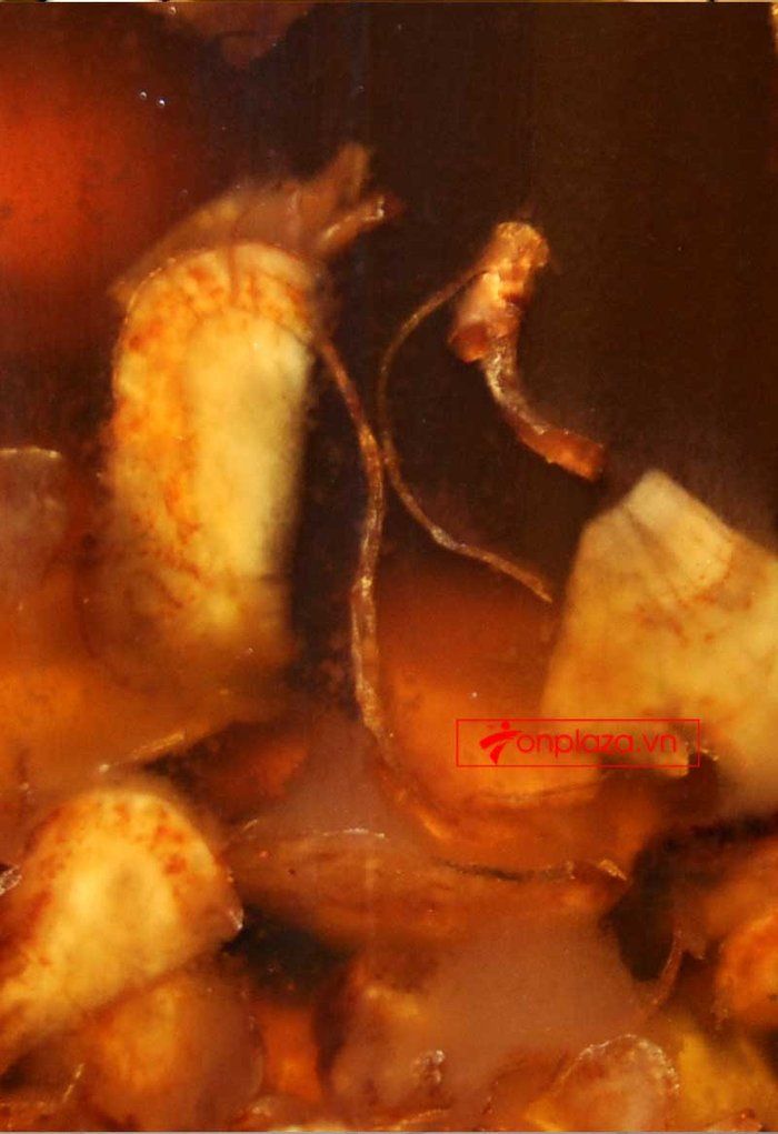 một số hình ảnh về bình sâm ngọc linh ngâm mật ong tại Onplaza 3