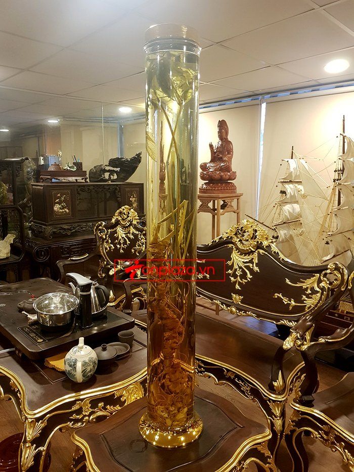 Bình sâm Ngọc Linh 41 lít, sâm chuẩn thượng hạng 2