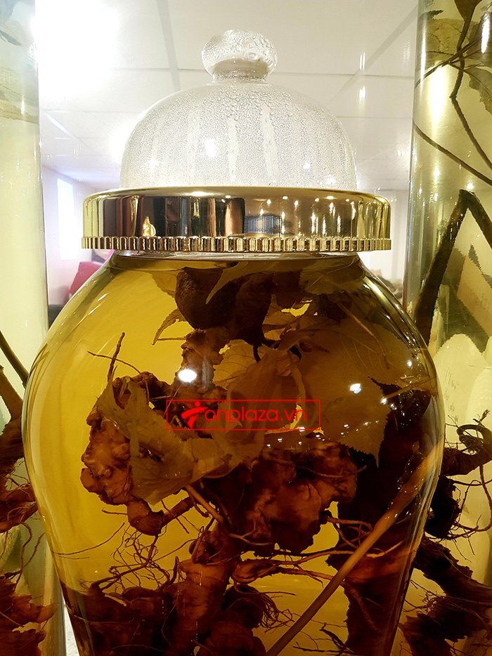 Bình sâm Ngọc Linh 41 lít, sâm chuẩn thượng hạng 4