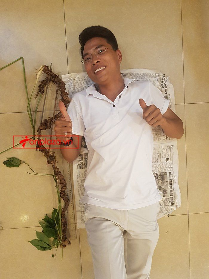 Bình sâm Ngọc Linh 41 lít, sâm chuẩn thượng hạng 7