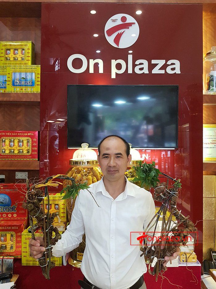 Bình sâm Ngọc Linh 41 lít, sâm chuẩn thượng hạng 14