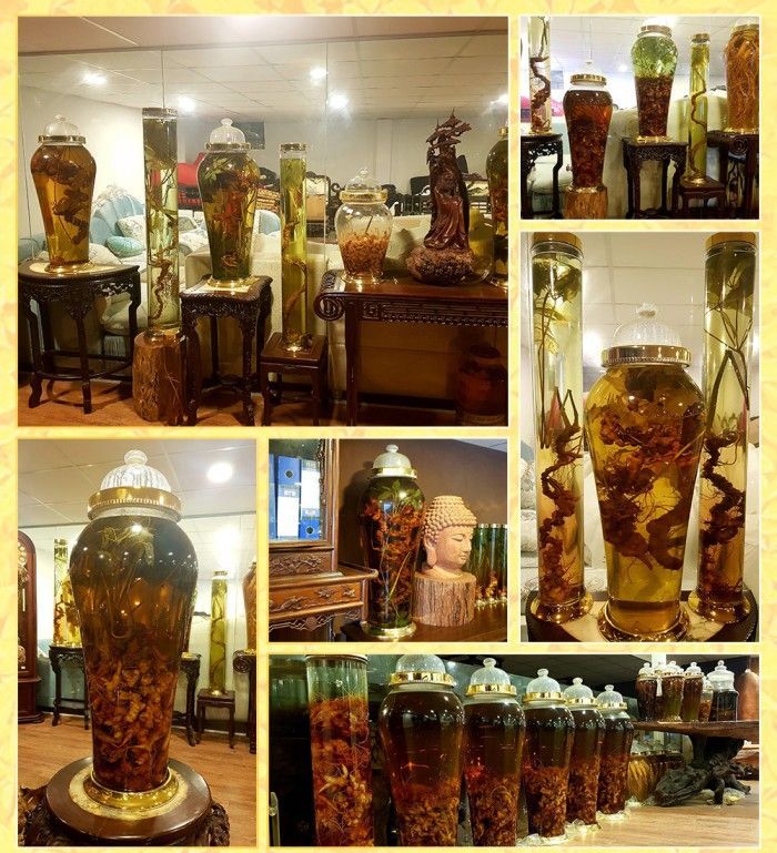 Bình sâm Ngọc Linh 41 lít, sâm chuẩn thượng hạng 15