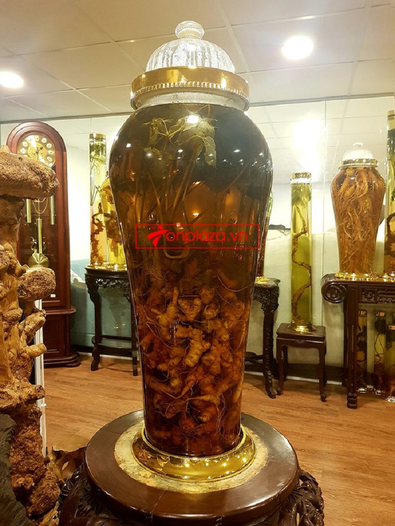 Bình sâm ngọc linh trồng số 26 41 lít