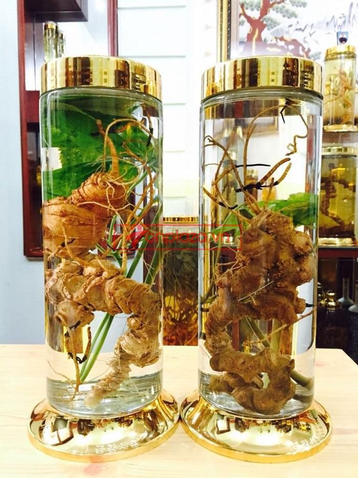Một số bình ngâm sâm ngọc linh hiện có tại onplaza 1
