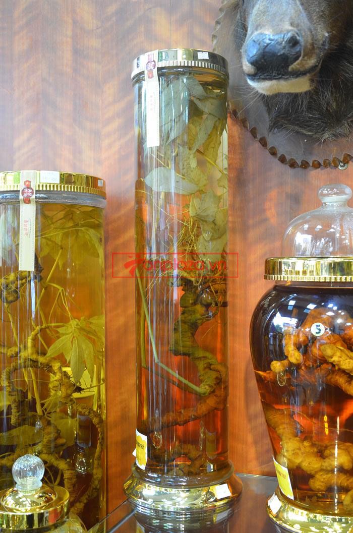 Một số bình ngâm sâm ngọc linh hiện có tại onplaza 2