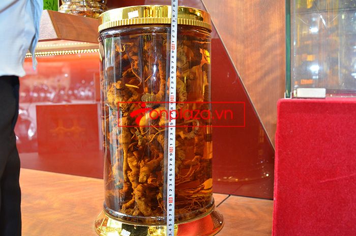 Một số bình ngâm sâm ngọc linh hiện có tại onplaza 4