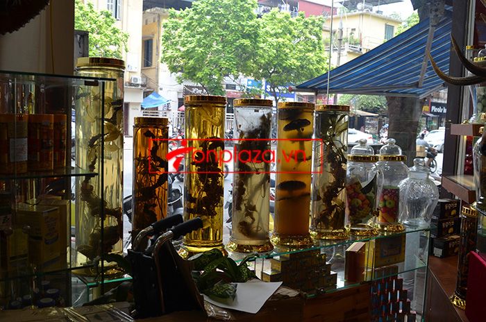 Một số bình ngâm sâm ngọc linh hiện có tại onplaza 5