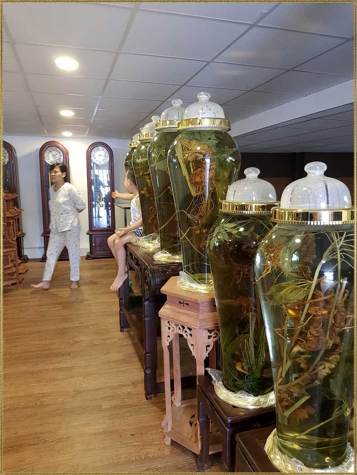 Sâm Ngọc Linh tự nhiên Kon Tum Kon Tum nguyên củ loại 10 - 20 củ 1kg 17