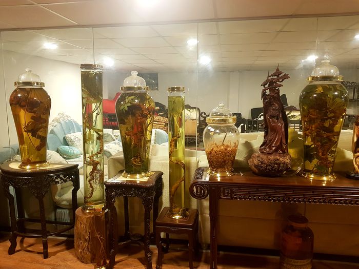 Sâm Ngọc Linh tự nhiên Kon Tum Kon Tum nguyên củ loại 10 - 20 củ 1kg 18