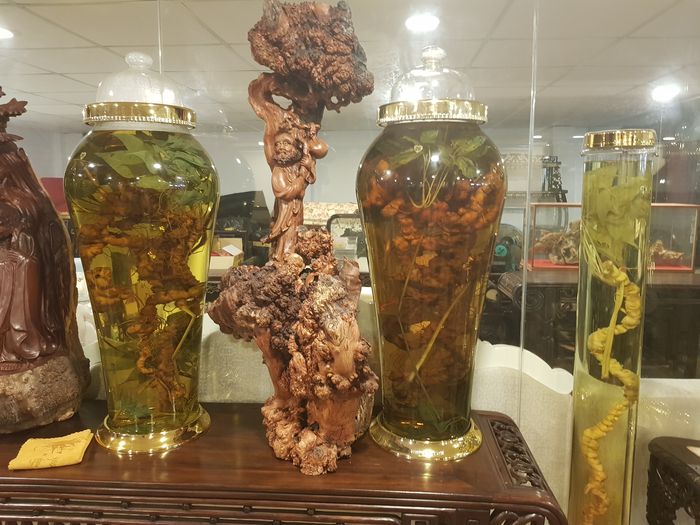 Sâm Ngọc Linh tự nhiên Kon Tum Kon Tum nguyên củ loại 10 - 20 củ 1kg 20