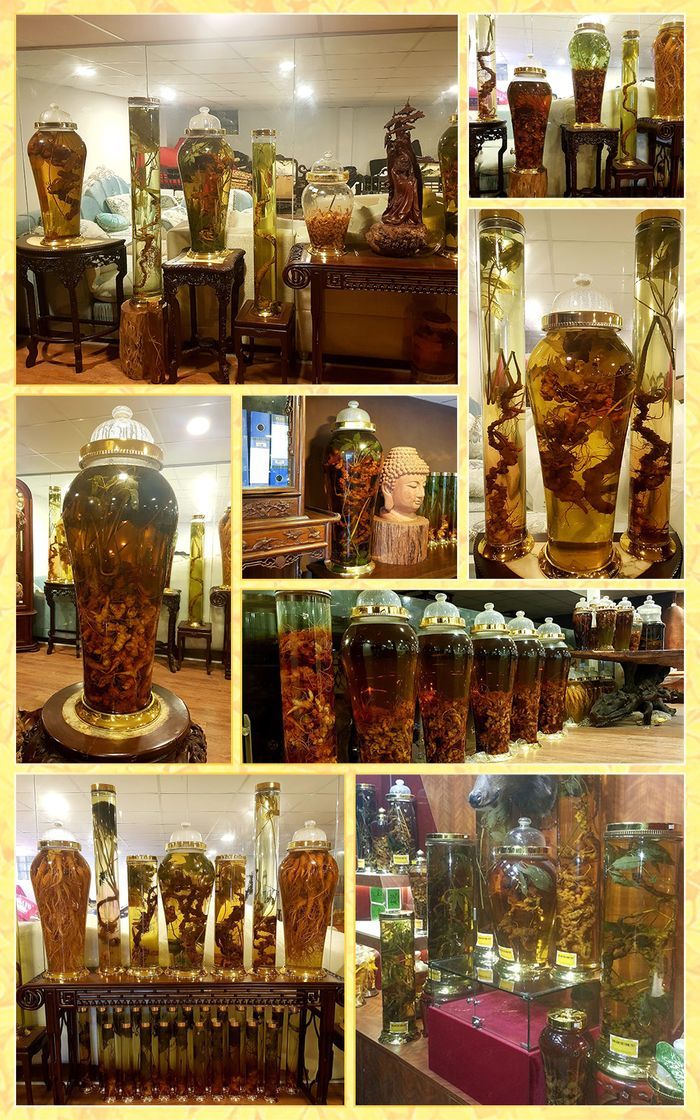 Sâm Ngọc Linh núi Kon Tum tự nhiên loại 4 lạng củ 177