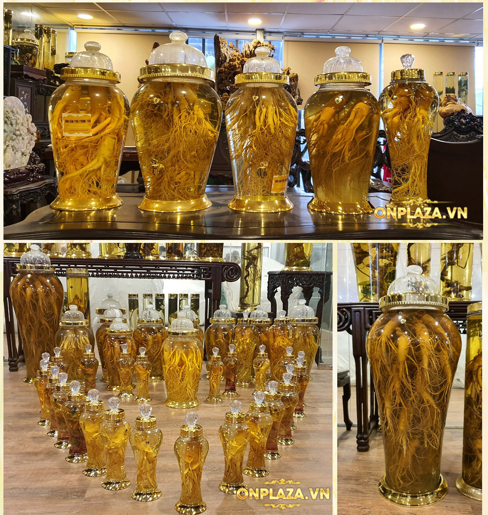 bộ sưu tập bình rượu sâm hàn quốc lâu năm