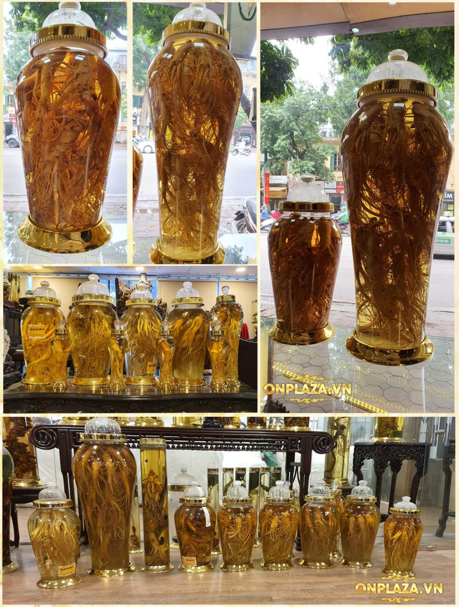 Bộ sưu tập sâm 6 năm tuổi