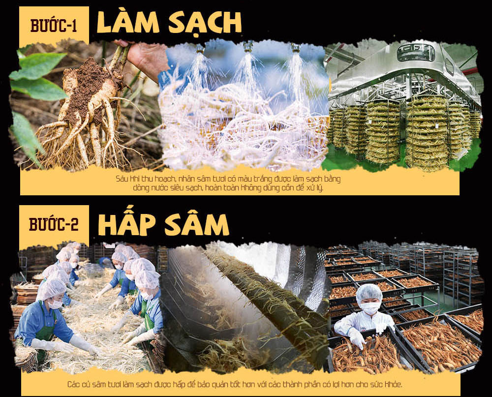 Quy trình sản xuất hồng sâm