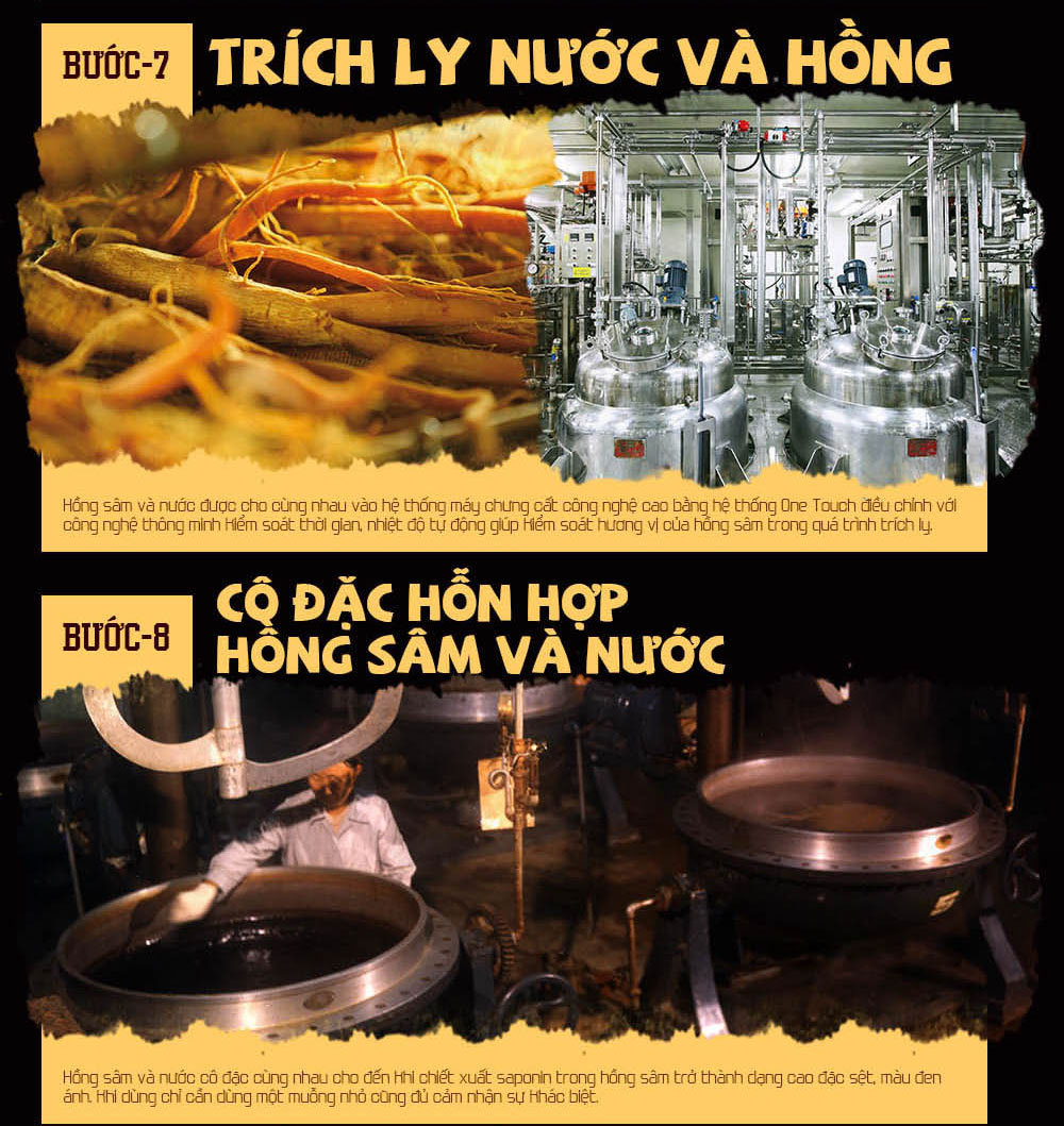 Quy trình sản xuất cao hồng sâm đạt chuẩn