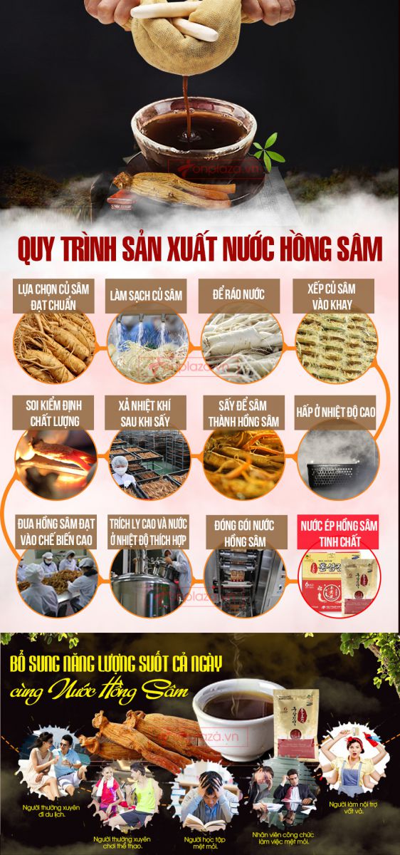quy trình Tinh chất hồng sâm hàn quốc tăng cường sức khỏe