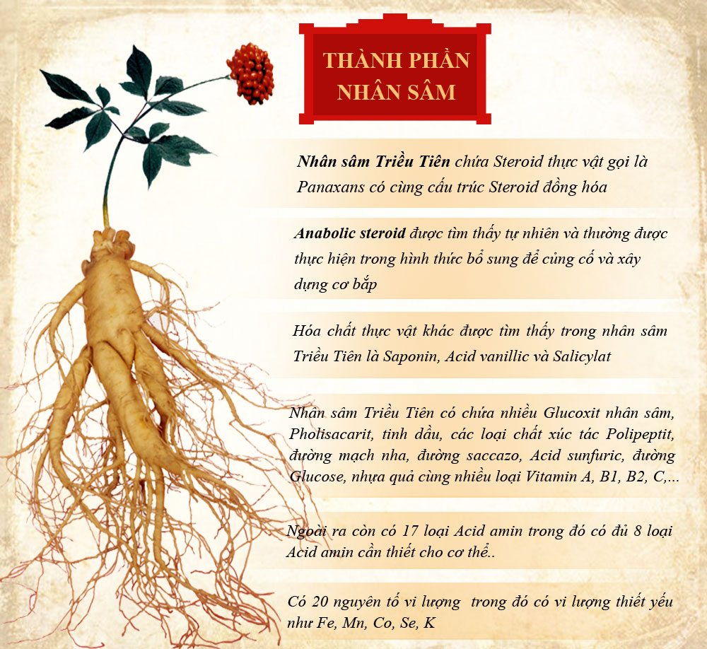 Hàm lượng saponin trong nhân sâm đạt cao nhất khi sâm đủ 6 năm tuổi.