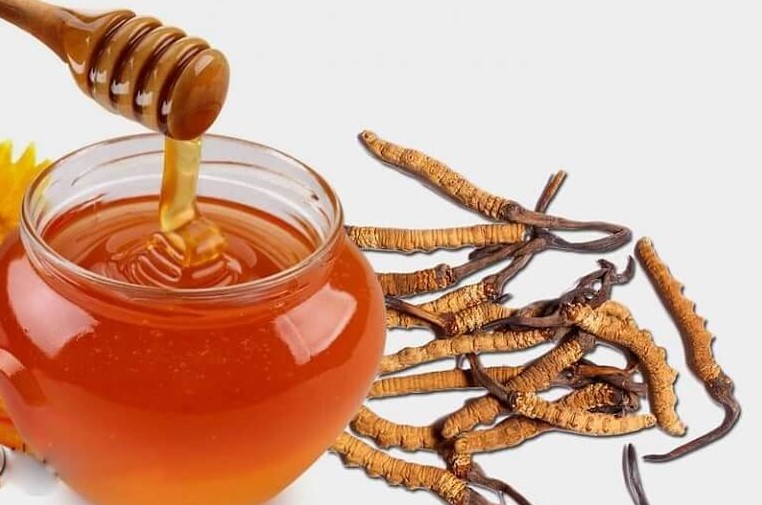 Đông trùng Tây Tạng ngâm mật ong bổ dưỡng