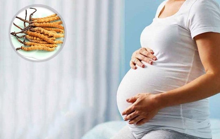 Không nên dùng đông trùng hạ thảo trong quá trình mang thai