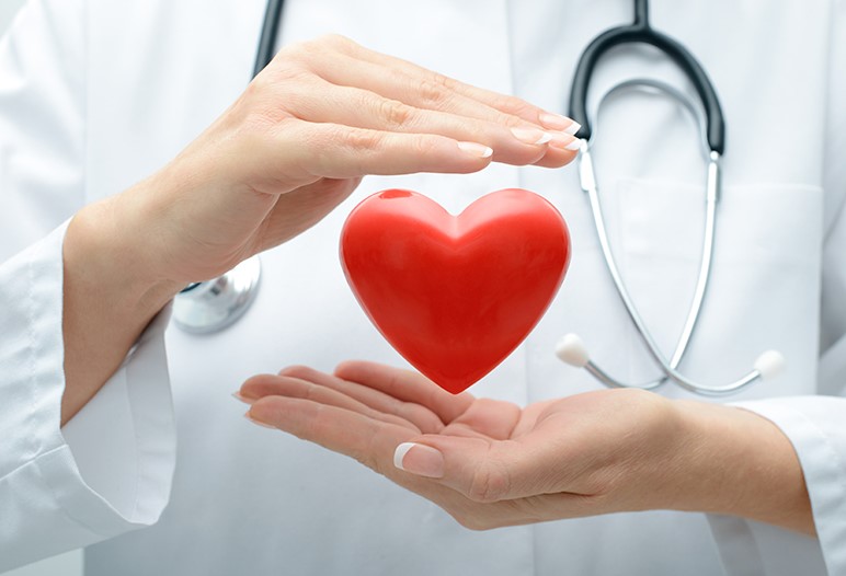 Đông trùng hạ thảo bảo vệ hệ tim mạch