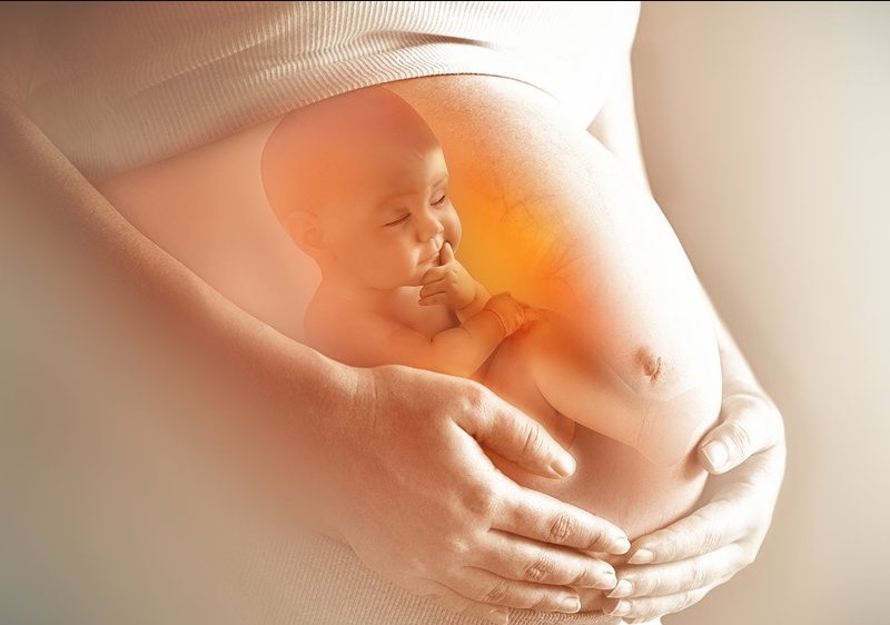 Mối tương quan của hệ miễn dịch giữa mẹ và thai nhi