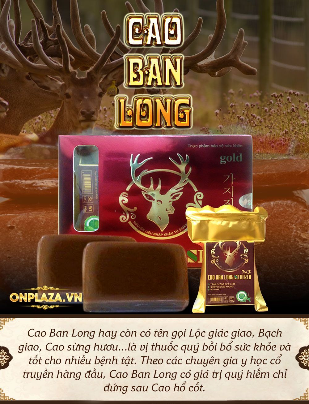 Cao ban long