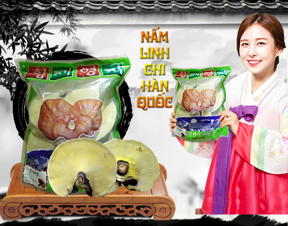 Nấm linh chi vàng thượng hạng túi xanh