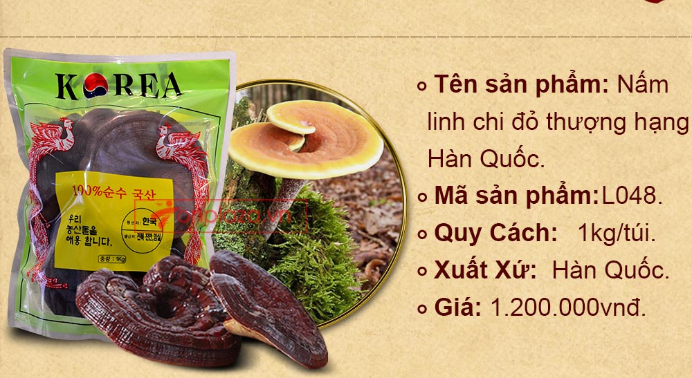Nấm linh chi đỏ thượng hạng