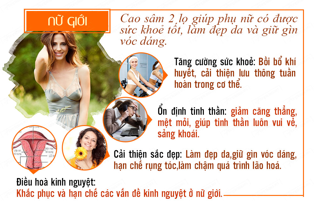 Hộp quà biếu Cao hồng sâm Hàn Quốc 6 năm tuổi cao cấp NS035