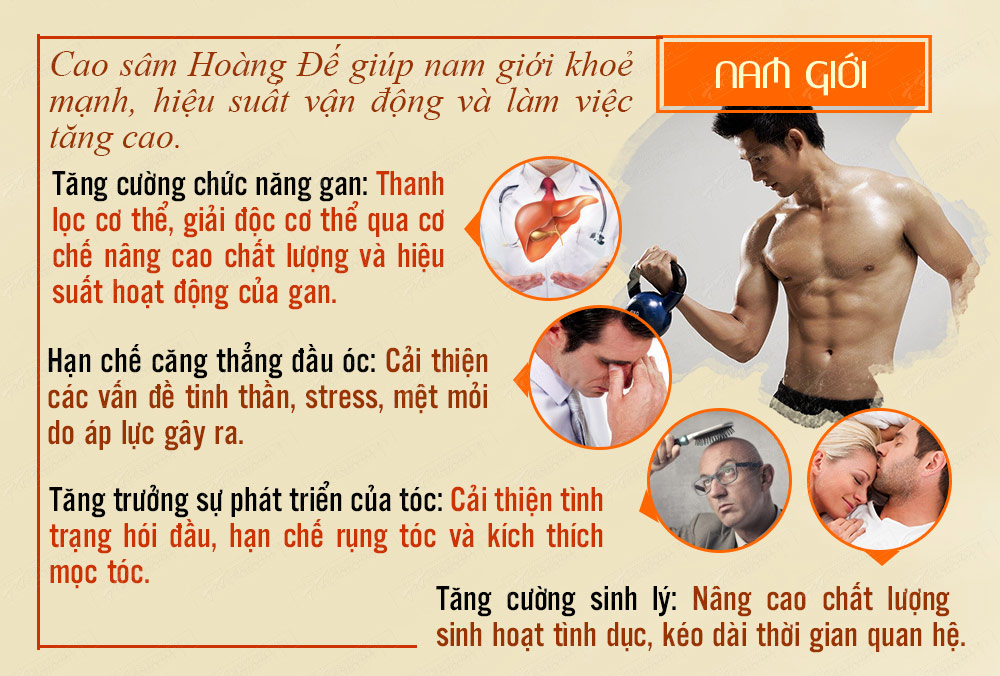 Hộp quà biếu cao hồng sâm hoàng đế đặc biệt 500gr NS037