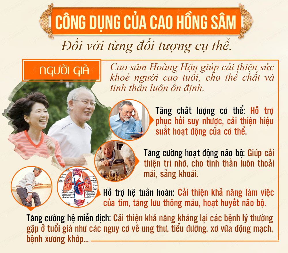 Hộp quà biếu Cao hồng sâm hoàng hậu loại đặc biệt NS038