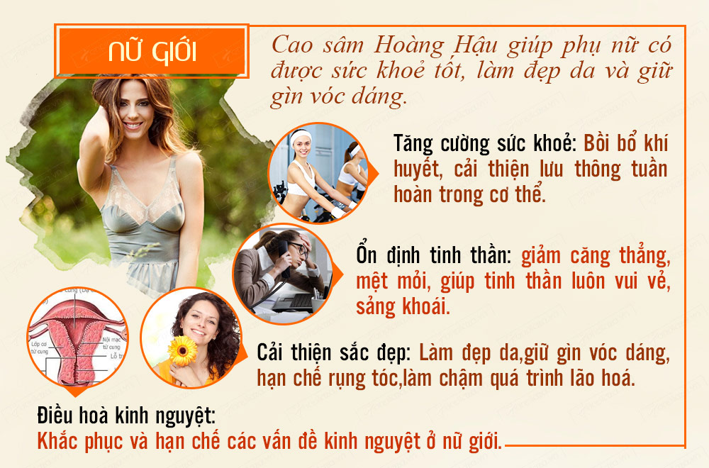 Hộp quà biếu Cao hồng sâm hoàng hậu loại đặc biệt NS038