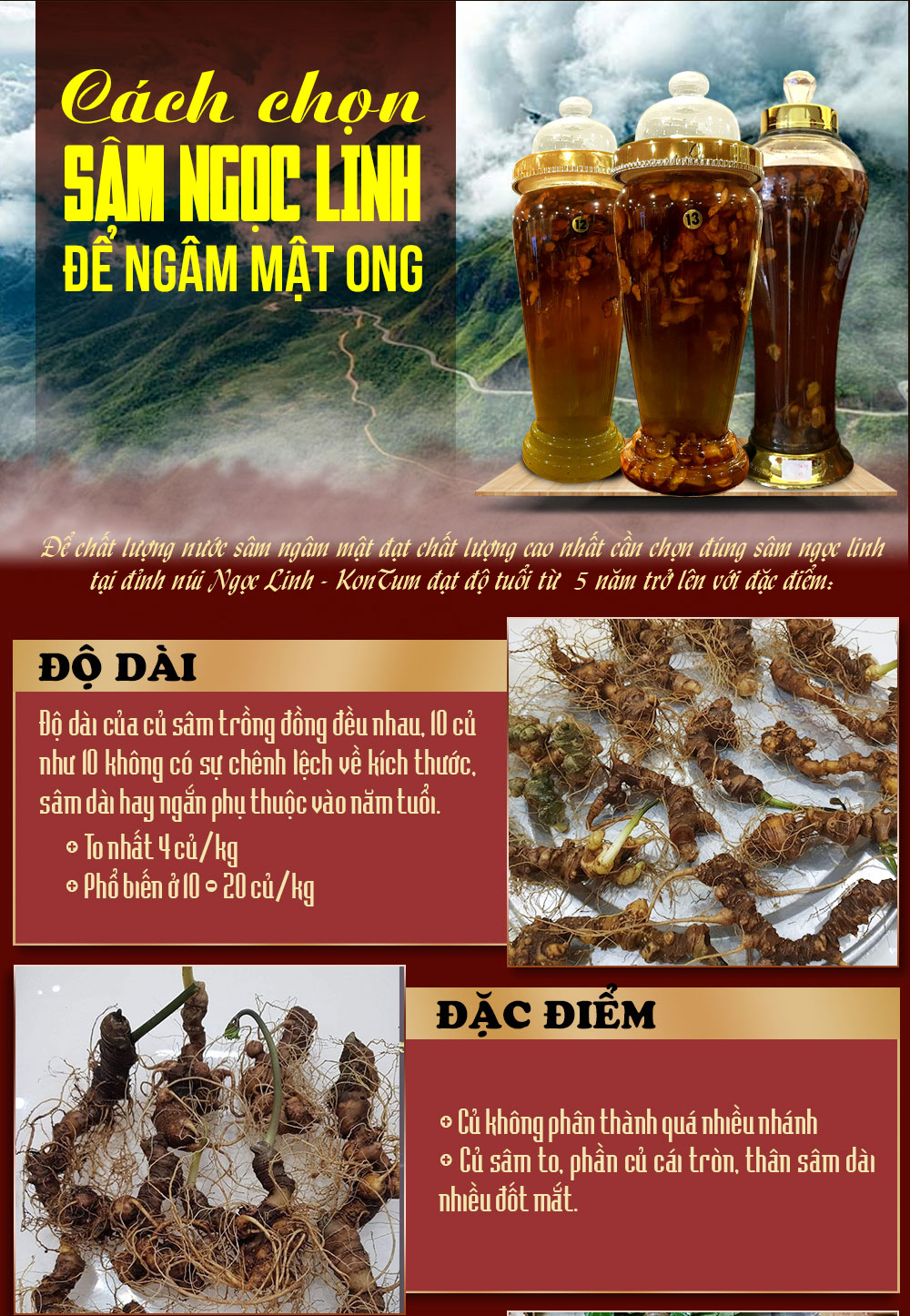 Sâm ngọc linh ngâm mật ong