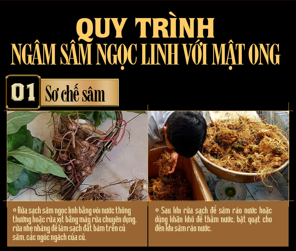 Sâm ngọc linh ngâm mật ong