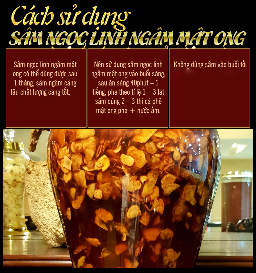 Sâm ngọc linh ngâm mật ong