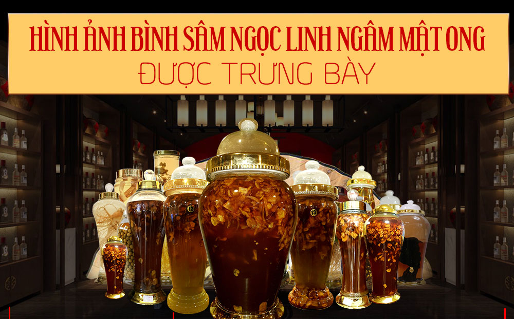 Sâm ngọc linh ngâm mật ong