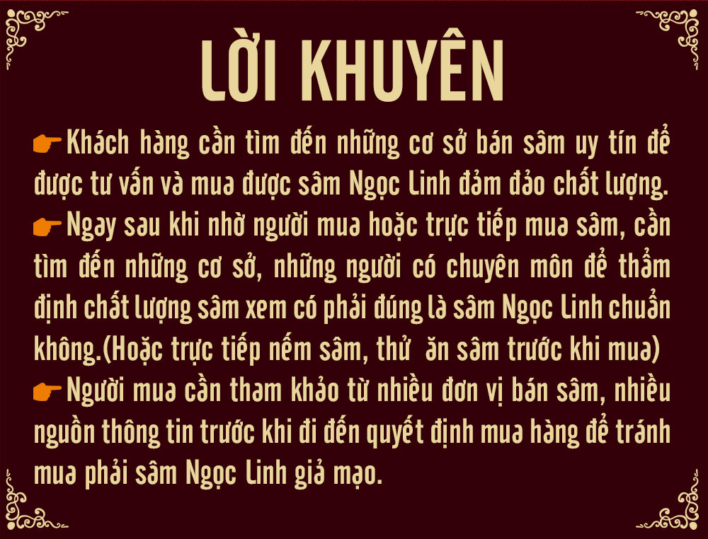 sâm ngọc linh tự nhiên