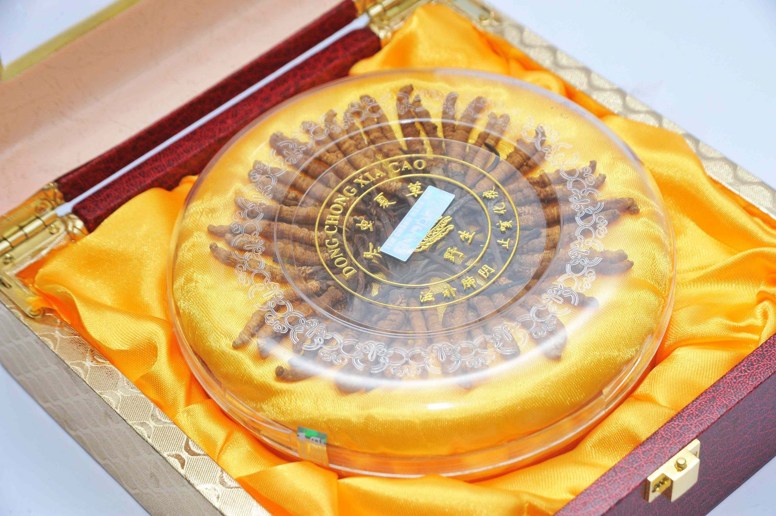 Dược liệu đông trùng hạ thảo