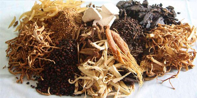 Các loại dược liệu quý