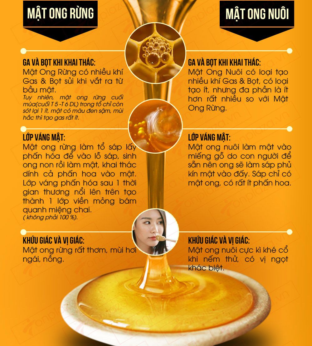 Một số đặc điểm khác nhau giữa mật ong rừng và mật ong nuôi