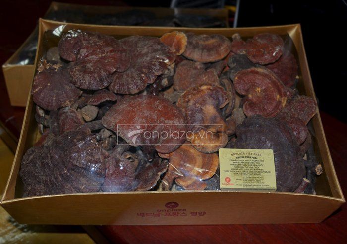 Nấm lim xanh núi Quảng Nam dòng thượng hạng hộp quà biếu 1 kg L294 3
