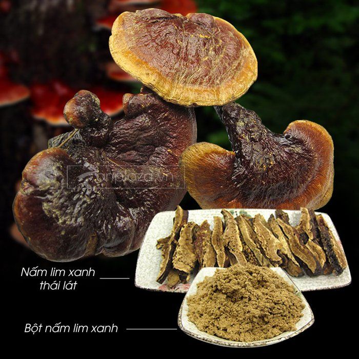 Nấm lim xanh núi Quảng Nam dòng thượng hạng hộp quà biếu 1 kg L294 6
