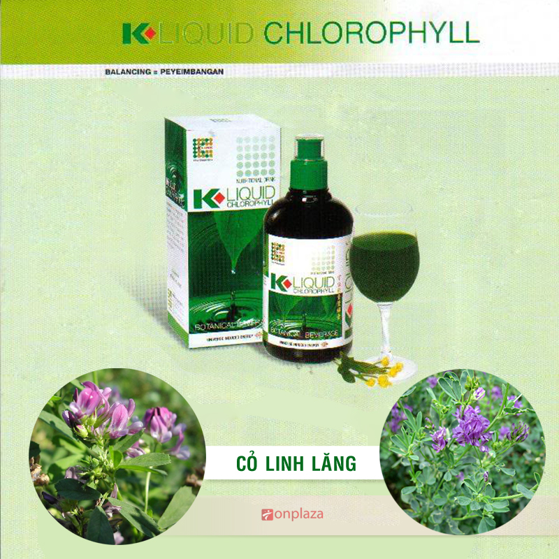 thành phần của nước diệp lục klink