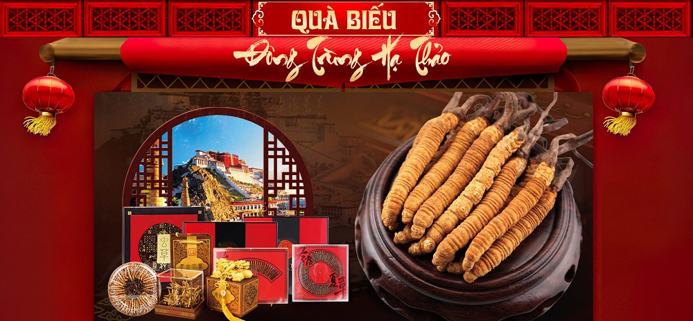 Quà tặng đông trùng hạ thảo