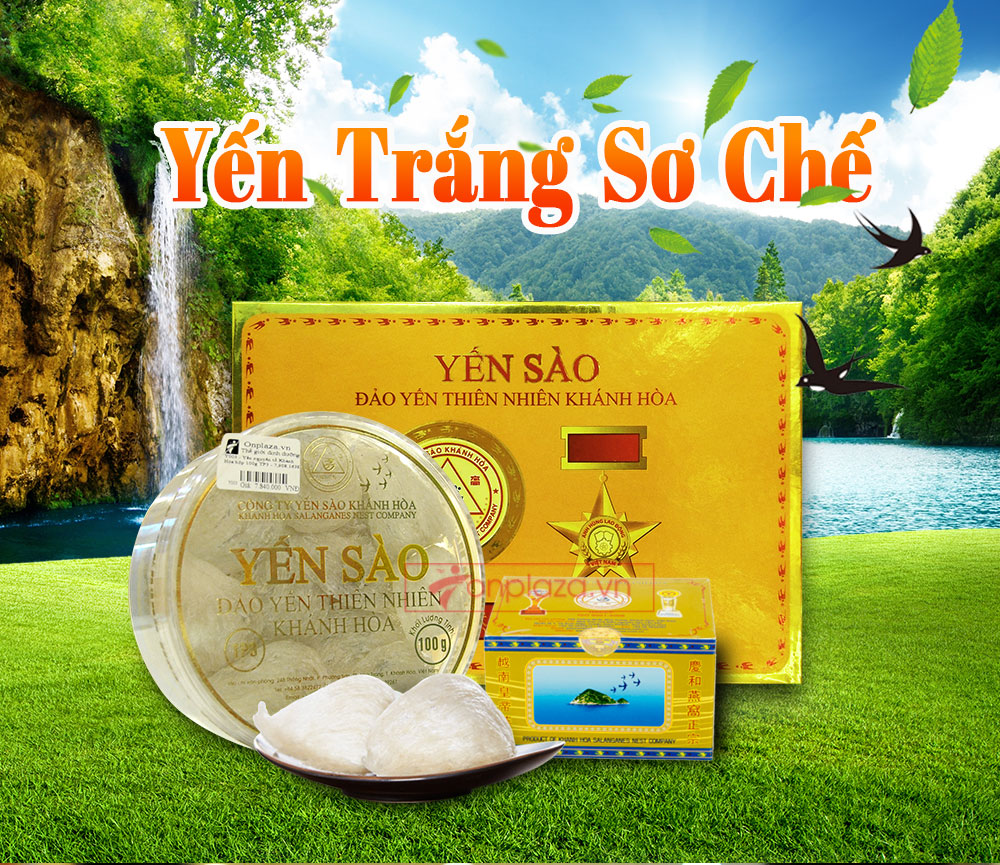 Yến Hòa Khánh sơ chế nguyên tổ  100g TP3-Y003 a1