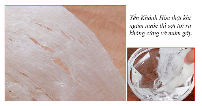 Yến nguyên tổ Khánh Hòa hộp 50g TP1 anh 10